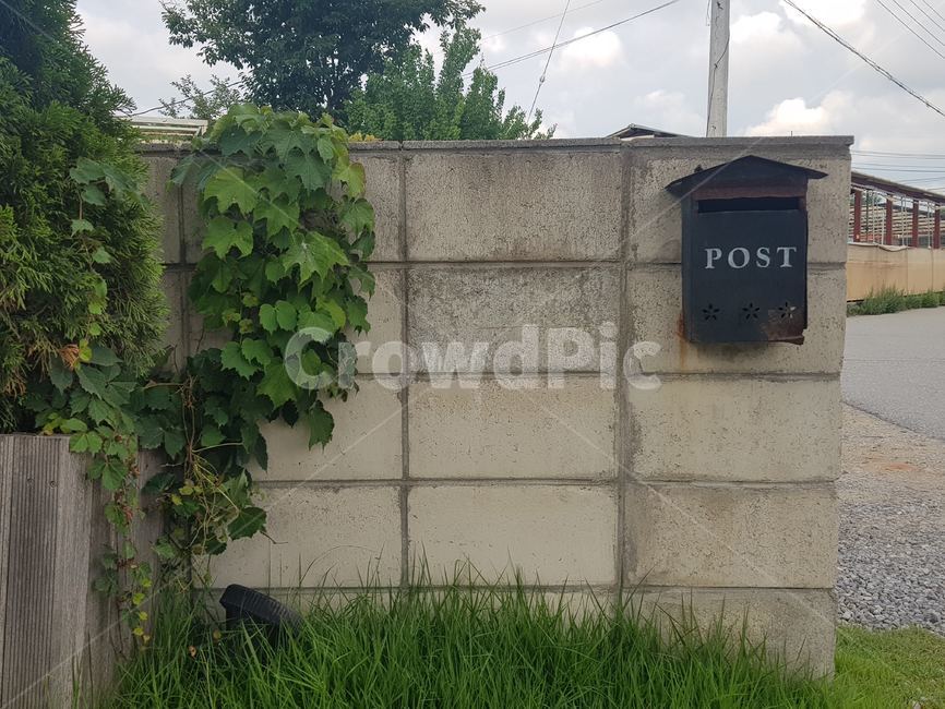 벽,덩굴,담쟁이,우체통,벽돌,잔디,하늘,wall,ivy,bostonivy,plant,brick