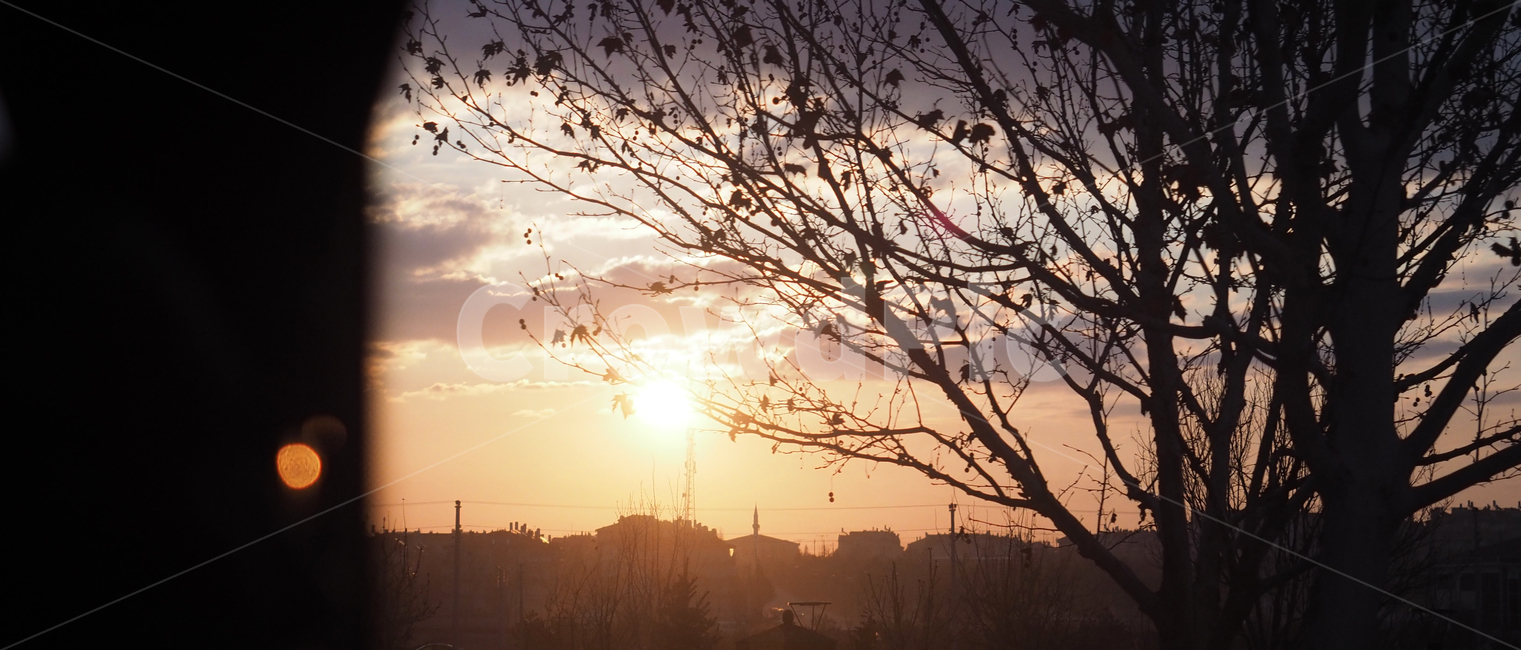 일출,태양,하늘,황금빛,구름,나무,풍경,시선,여유,휴식,sunrise,sun,sky,golden,cloud,tree,landscape,rest,scenery,scene,view,자연,풍경,nature,landscape,실루엣,그림자,silhouette,shadow,flare,플레어,light,빛,sunlight,햇빛,outdoors,옥외