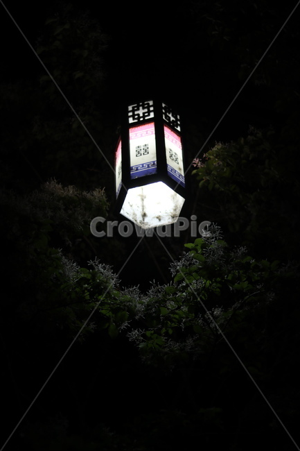 가로등,나무,빛,야경,따스함,야경,밤,풍경,nightscape,night,landscape