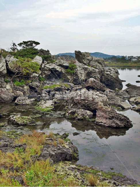 내수면둑방길,내수면,제주,올레2코스,서귀포시,둑,슾지,기암괴석,자연,풍경,nature,landscape