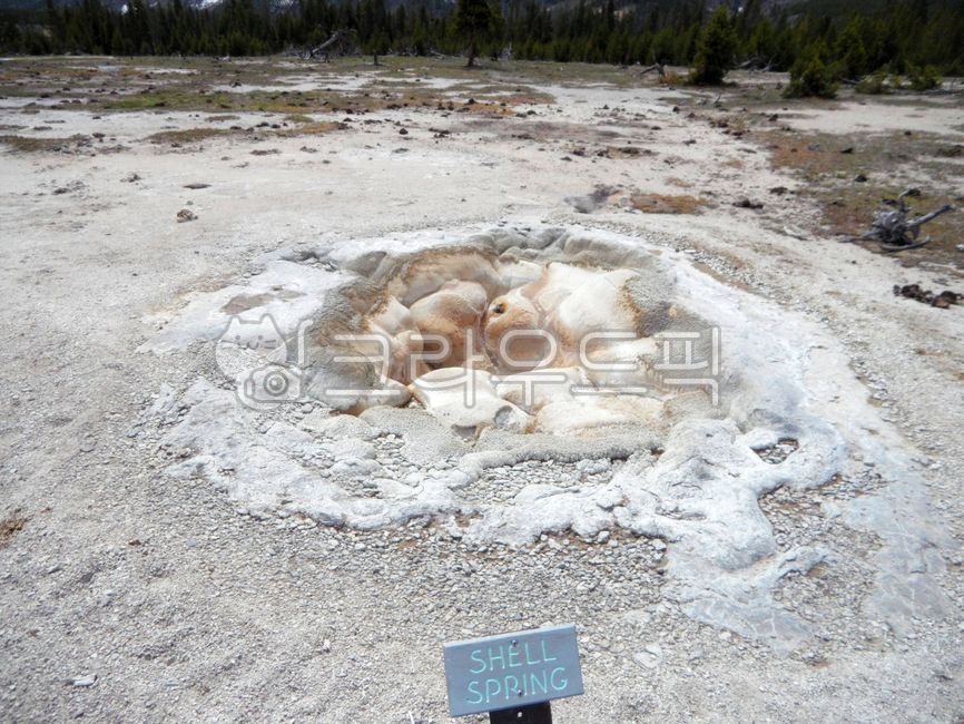brimstone,usa,shell spring,scenic,nationalpark,fir,scene,acid,hotwater,mountain,sight,sulfur,mineral,world natural heritage,natural,tree,heritage,water,yellowstone,geyser,hot spring,sediment,watervapor,A national park,hotspring,mystical,world,mysterious,u