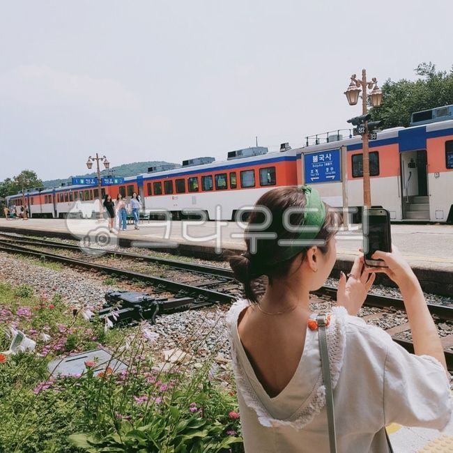 사람,여자,여자뒷모습,교통,무궁화호,기차,경주,여행,경주여행,불국사역,여름