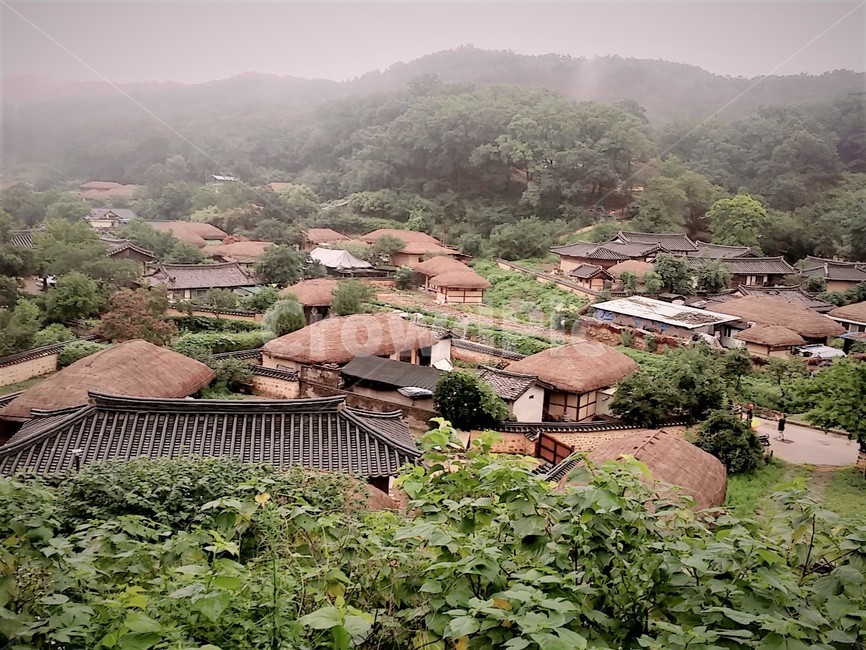 경주양동마을,경주,양동마을,전통,한국전통마을,한국전통,전통문화,landscape,koreantraditional,koreanculture,touristtraditional,조선시대,유네스코세계문화유산,집성촌,양반마을,전통가옥,월성손씨,여강이씨,양반집,초가집,민속마을,한옥,기와집,문화재,시골,마을,풍경,country,rural,한국문화,비,비오는날