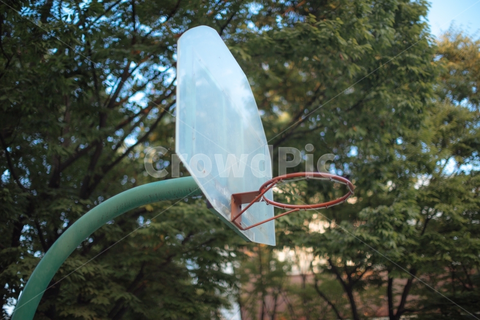 농구,농구대,골대,스포츠,운동,감성,스포츠,레저,운동,sports,leisure,exercise