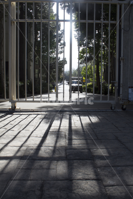 문,그림자,shadow,gate,door,울타리
