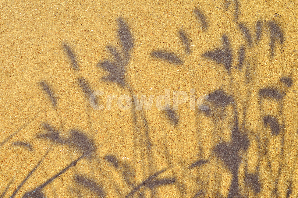 텍스쳐,강아지풀,그림자,빈티지,패턴,질감,바탕,배경,백그라운드,표면,texture,background,반복,추상,vintage,pattern,식물,자연,plants,nature,실루엣,그림자,silhouette,shadow
