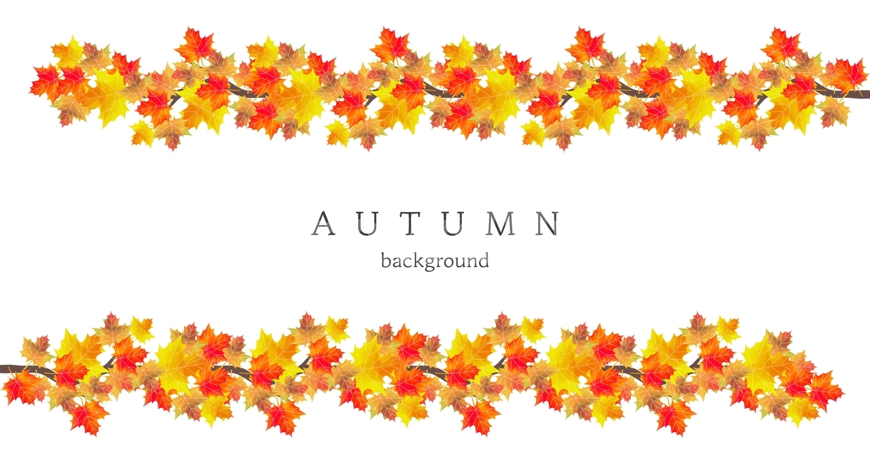 나뭇잎,가을,프레임,감성,배경,백그라운드,단풍,가을,계절,fall,autumn,season,그래픽,일러스트레이션,graphic,illustration,plant,식물,leaf,잎,tree,나무