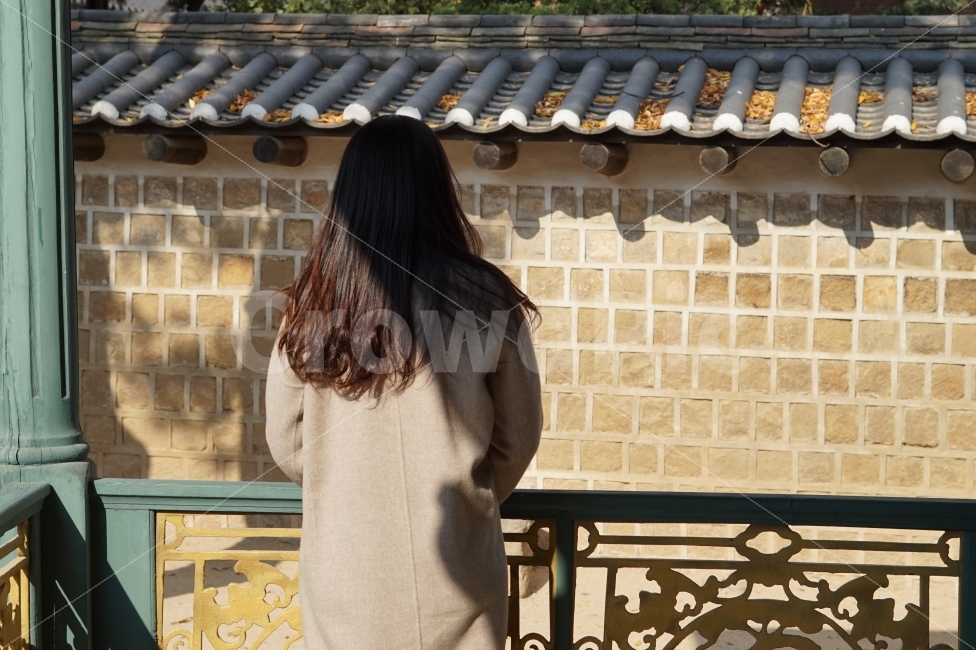 가을,여자,뒷모습,사람,덕수궁,인물,감성,스냅,돌담,한국,여행,햇살,한국전통,한국문화,korean traditional,korean culture,사람,인물,인간,human,person,여성,여자,woman,female,lady