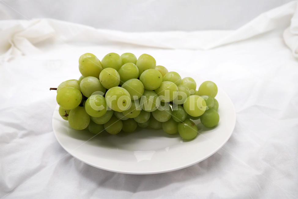포도,grape,fruit,과일,머스켓,청포토,muscat,접시,과일,열매,fruit
