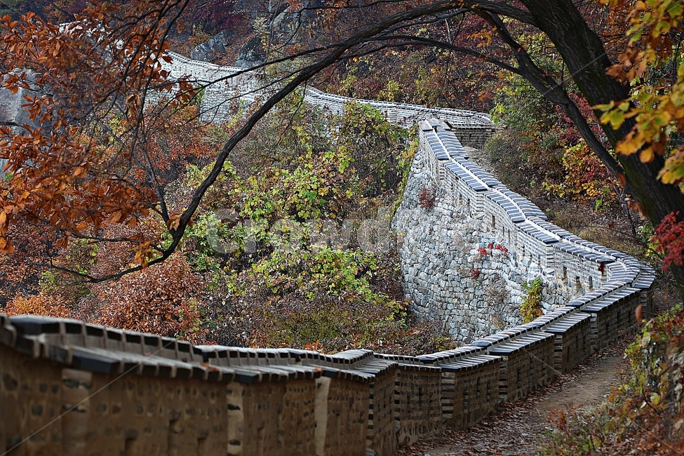 남한산성,성,성곽,단풍,낙엽,길,둘레길,숲,숲길,담,돌담,가을,자연,풍경,벽,울긋불긋,산성,식물,가을,계절,fall,autumn,season,한국전통,한국문화,korean traditional,korean culture,tree,나무,plant,leaf,잎