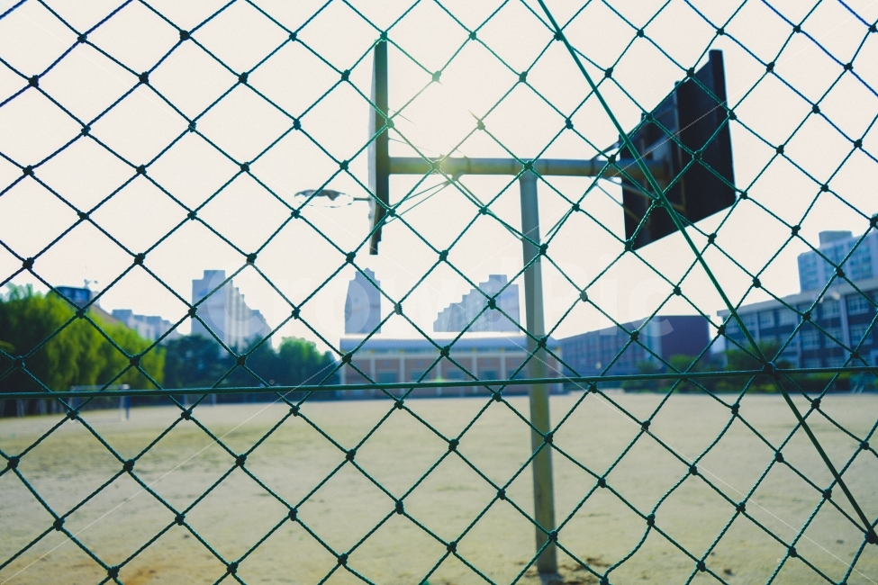 감성사진,운동장,그물,농구,골대,학교,감성,sensible,feeling,교육,학교,공부,education,learning,study,school