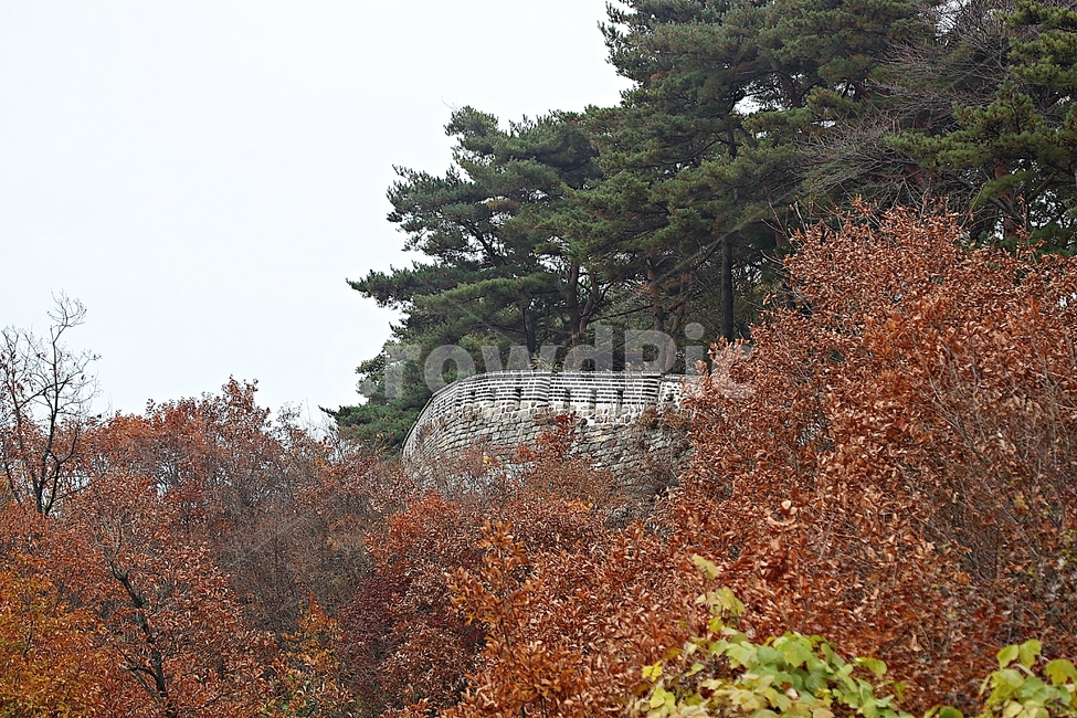 남한산성,성,성곽,단풍,낙엽,길,둘레길,숲,숲길,담,돌담,가을,자연,풍경,벽,울긋불긋,산성,식물,가을,계절,fall,autumn,season