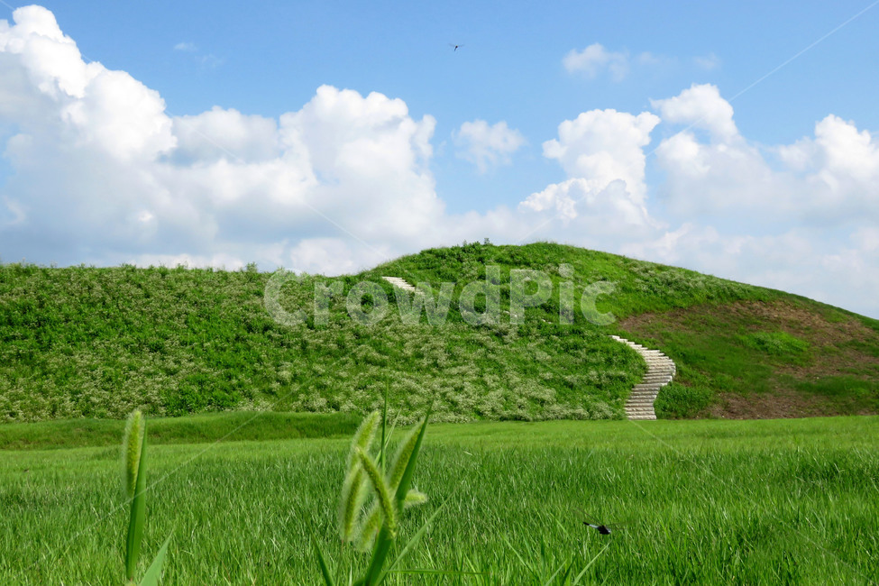 연천군,고구려유적지,호로고루,경기도,장남면,자연,풍경,nature,landscape,grassland,목초지,field,들,outdoors,옥외
