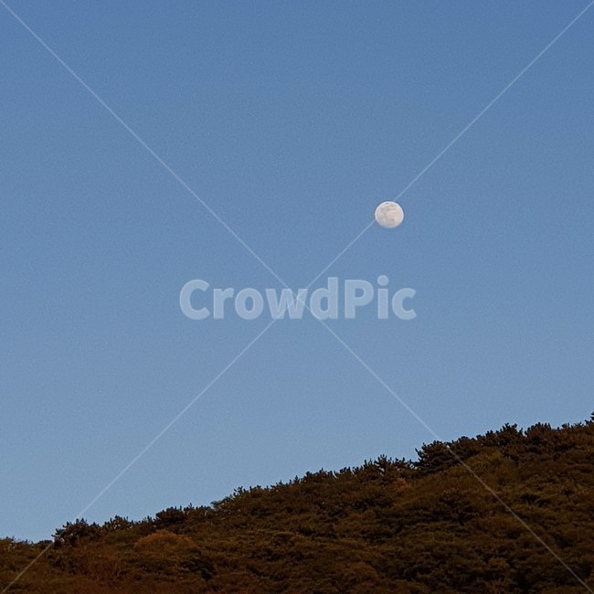 달,moon,moonlight,photoshoot,보름달