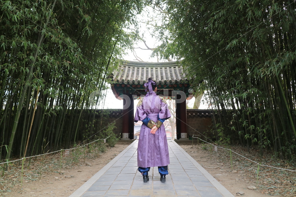 전주,전주여행,한옥마을,한복,무사복,보라색,뒷모습,한옥,조선시대,무사,한복,한국전통의상,hanbok,korean traditional clothes