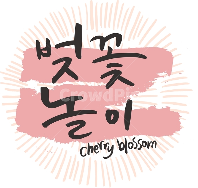 벚꽃놀이,벚꽃축제,일러스트,벡터,봄,캘리그라피,패턴,패키지,라인,텍스처,질감,다이어리,책표지,북커버,팝업,배너,계절,벚꽃,축제,꽃,캘리,번짐,잉크,캘리그라피,손글씨,calligraphy