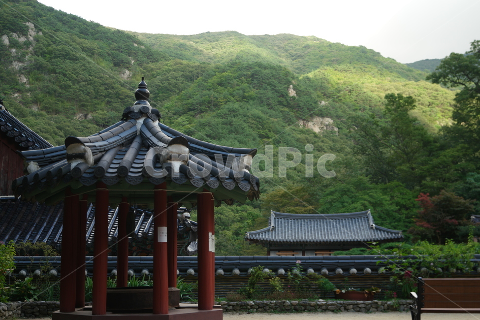 산,정자,우물,자연,절,사찰,한국전통,한국문화,korean traditional,korean culture