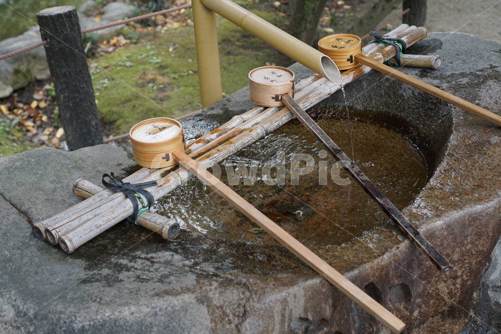 일본,전통,신사,약수터,japan,tradition,shrine,mineralspring