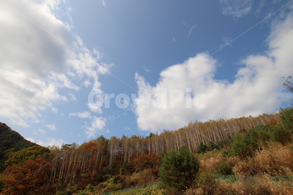 산,하늘,풍경,나무,숲,가을,계절,fall,autumn,season,자연,풍경,nature,landscape,tree,plant,식물,outdoors,옥외,weather,날씨