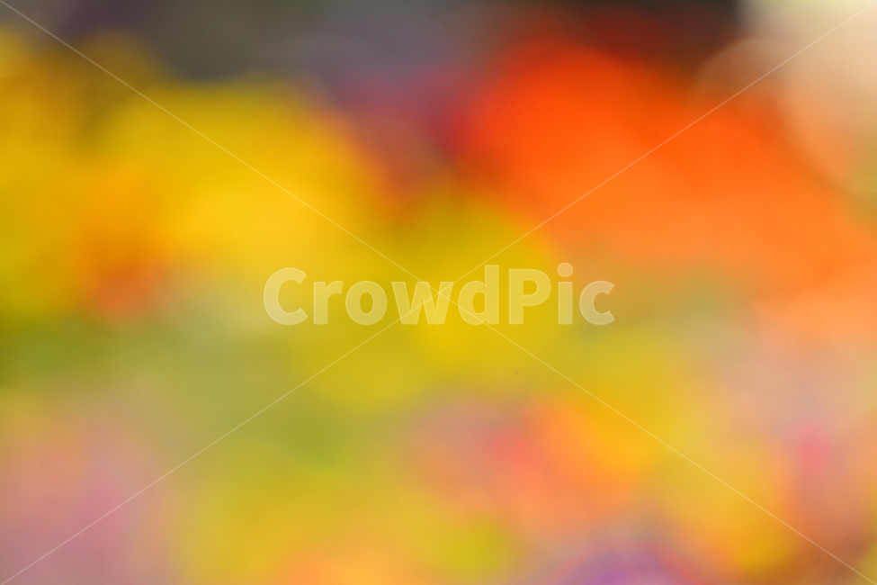 봄,색감,감성,분위기,느낌,벡그라운드,emotion,feeling,sensible,칼라풀,색상,화려한,colorful,season,시즌,계절,몽환적,그라데이션,gradation,art,번짐,혼색,다양한,노랑,빨강,핑크,분홍,그린,녹색,봄배경,background,바탕,배경