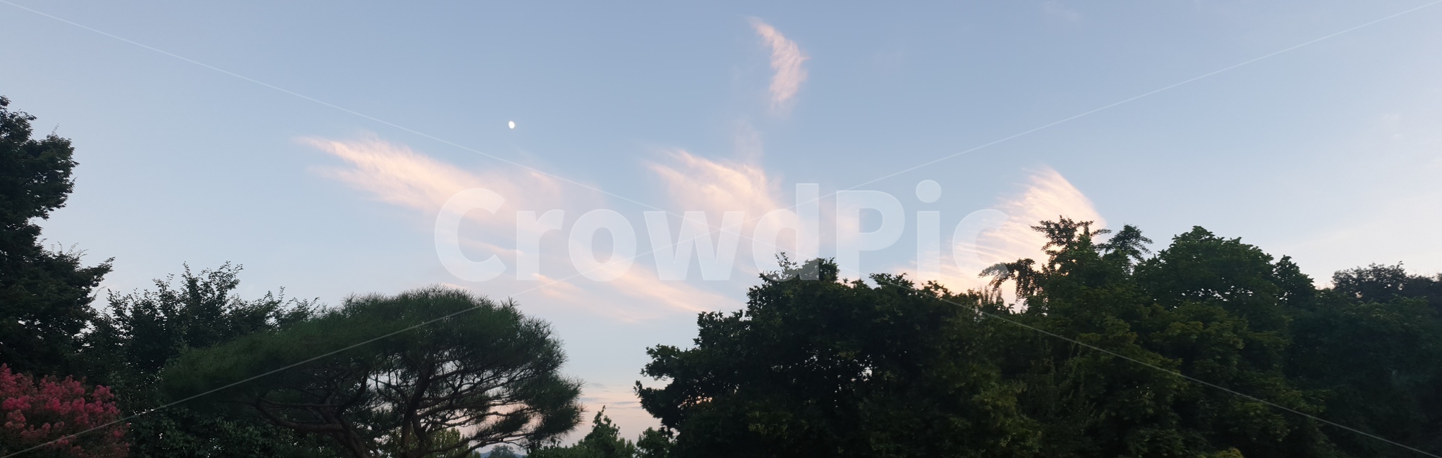 하늘,초저녁,자연,구름,달