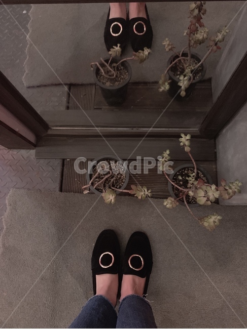 거울에비친발,발,거울,화분,가지런한발,사람,인물,인간,human,person,신체일부,몸,body