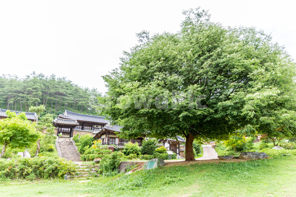 고택,한국의미,문화유산,관광지,전통,전통가옥,군자마을,한옥,돌계단,자연,풍경,nature,landscape,한국자연풍경,한국자연경관,korea nature landscape,한국전통,한국문화,korean traditional,korean culture,outdoors,옥외