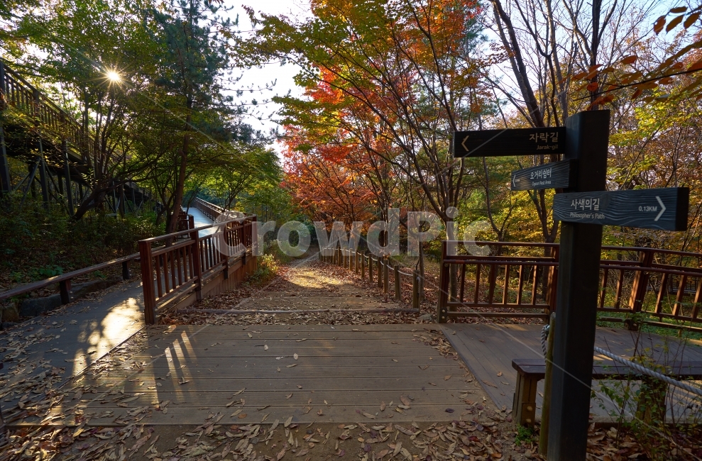 망우산,둘레길,자연,숲길,힐링,등산,걷기,나무,중랑둘레길,서울둘레길,단풍,등산로,이정표,사색의길,자락길,오거리쉼터,안내표지판,안내판,낙엽,가을,계절,fall,autumn,season,자연,풍경,nature,landscape,한국자연풍경,한국자연경관,korea nature landscape,boardwalk,산책로,bridge,다리,building,건물