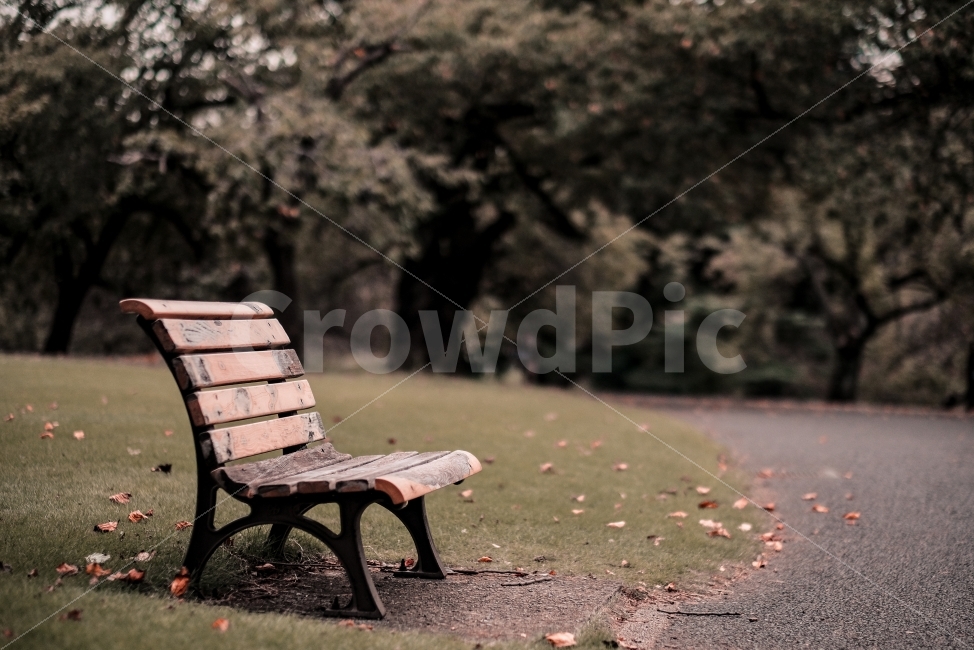 벤치,감성,공원,낙엽,가을,가을,계절,fall,autumn,season,감성,sensible,feeling,furniture,가구,bench