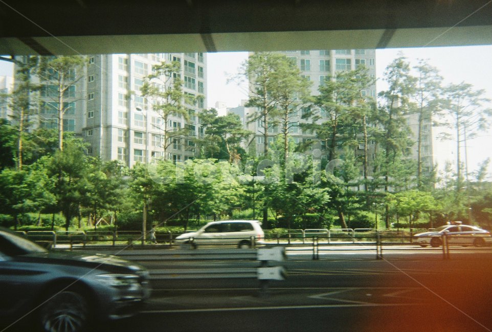 필름,도시,나무,도로,자동차,교통,교통수단,traffic,transportation