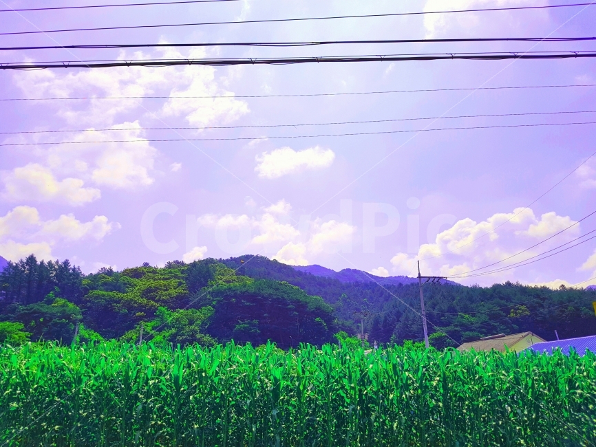 여행,Travel,강원도,시골,마을,아침,하늘,가족,주말,풍경,색감,자연,초록,파랑,Gangwondo,Country,town,Morning,Sky,Family,weekend,Landscape,View,color,green,blue,nature,자연,풍경,nature,landscape,시골,마을,country,rural,town