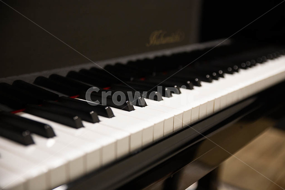 건반,피아노,악기,건반악기,어쿠스틱악기,악기,음향기기,musical instrument,musical equipment