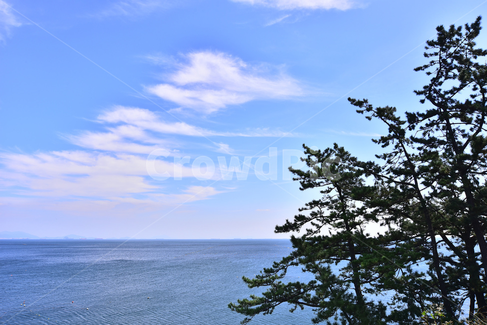 남해,water,물,ocean,대양,연안,sea,바다,coast,해안선,shoreline,자연,outdoors,옥외,nature,해상국립공원,푸른바다,하늘,구름,파랑색,블루톤,물결,배경,바탕,백그라운드,background,한국자연경관,풍경,소나무,침엽수,나무,자연,풍경,nature,landscape,tree,plant,식물