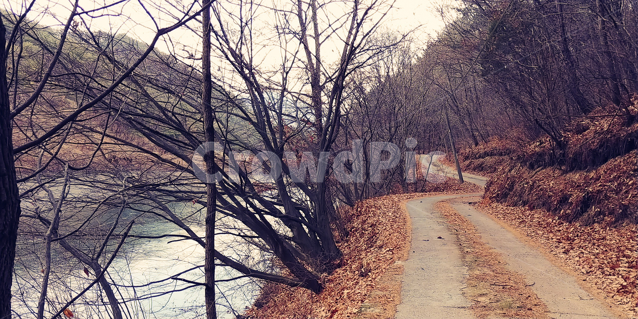 가을,낙엽,단풍,산길,연못,고불고불한길,fall,leaf