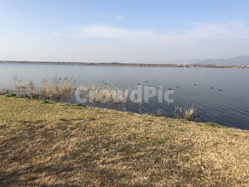 강,river,겨울,갈대,하늘