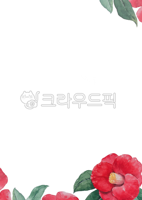 flower,꽃,petal,꽃잎,동백꽃,동백,빨간꽃