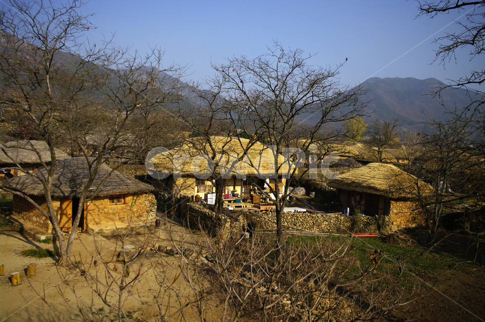 초가지붕,전통가옥,한국,초가집,담장,시골,마을,풍경,landscape,country,rural,town,한국전통,한국문화,korean traditional,korean culture