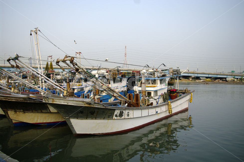 소래포구,배,어선,바다,포구,산업,industry,industrial,어업,fishery,fishing industry