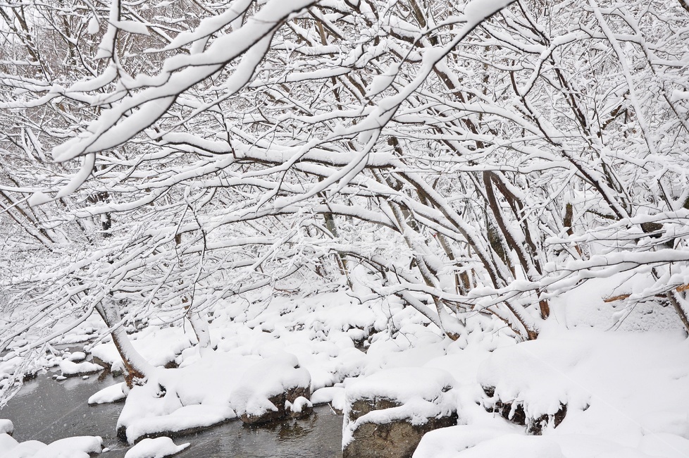 장성,입암산성,남창게곡,설경,남창계곡설경,storm,폭풍,tree,나무,plant,식물,ice,빙,snow,눈,winter,겨울,nature,자연,outdoors,옥외,blizzard,눈보라,겨울,계절,winter,season,자연,풍경,nature,landscape