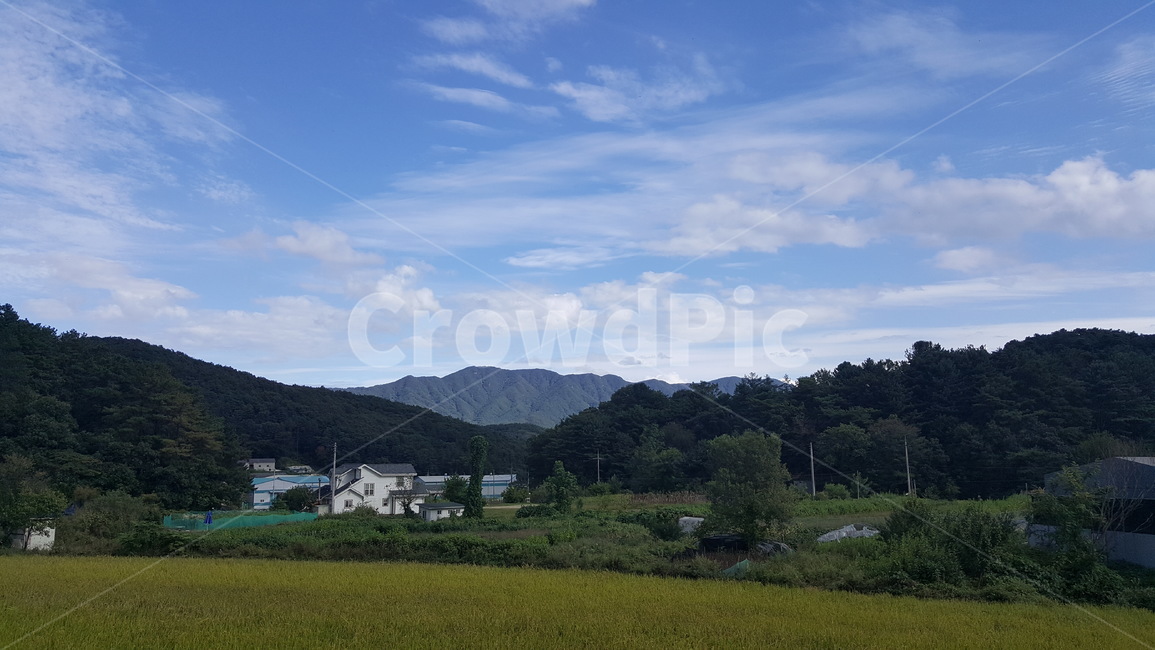 한국,가을,하늘,풍경,시골,자연,시골,마을,풍경,landscape,country,rural,town
