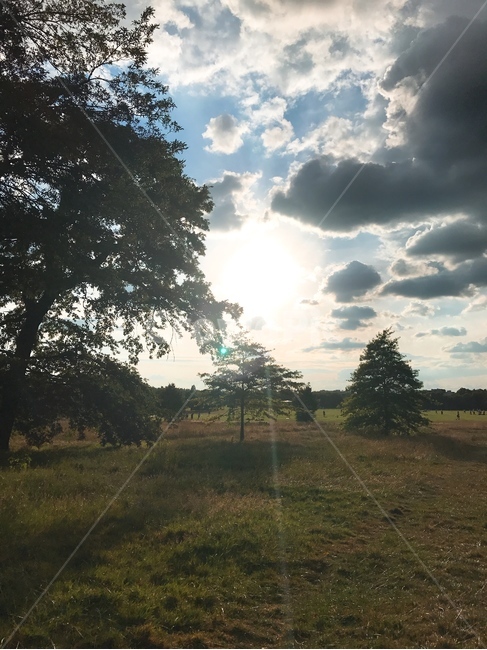 영국,공원,풍경,하늘,햇빛,구름,나무,자연,들판,뭉게구름,자연,풍경,nature,landscape,해외,외국,세계,foreign,oversea,world,세계자연풍경,해외자연풍경,외국자연풍경,world nature landscape,outdoors,옥외