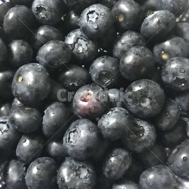 과일,생식,채식,과일식,fruit,블루베리,베리,음식,식재료,요리,food,cook,meal,dishes,food reserves,과일,열매,fruit