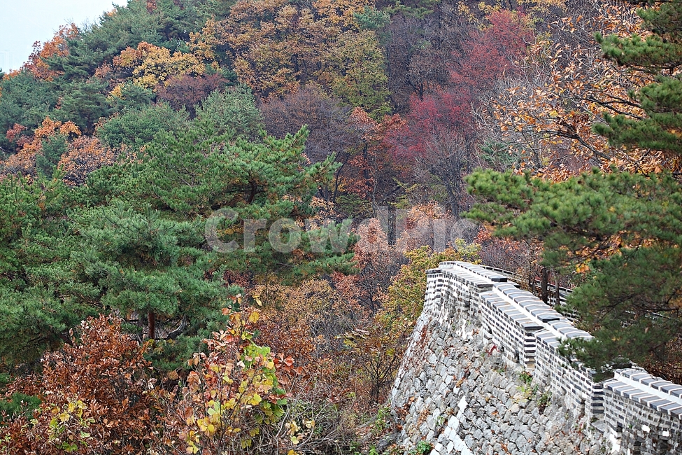남한산성,성,성곽,단풍,낙엽,길,둘레길,숲,숲길,담,돌담,가을,자연,풍경,벽,울긋불긋,산성,식물,가을,계절,fall,autumn,season