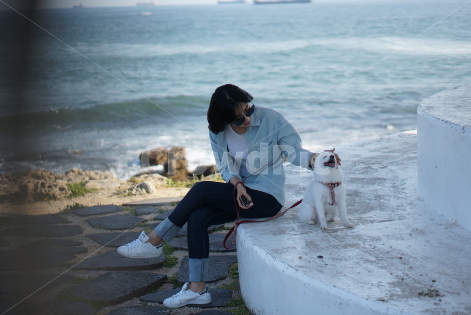 경호,경비,산책,폼피츠,애견,여자,사람,강아지,나들이,유기견,바다,데이트,반려견,여성,여자,woman,female,lady,여행,휴가,traveling,vacation,trip