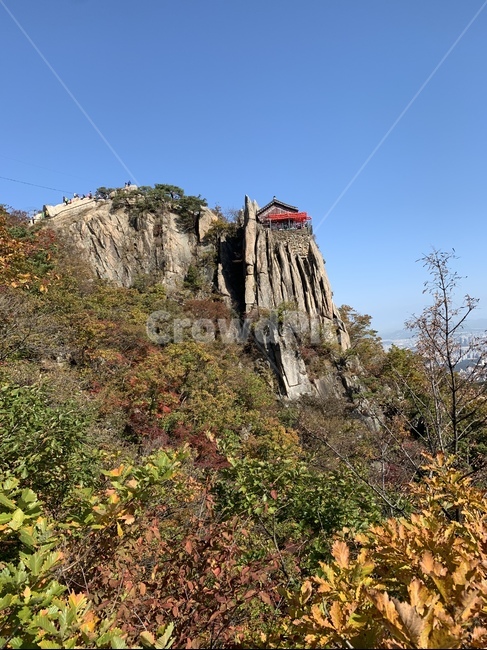 낭떠러지,nature,자연,cliff,outdoors,사찰,관악산,단풍,가을,산