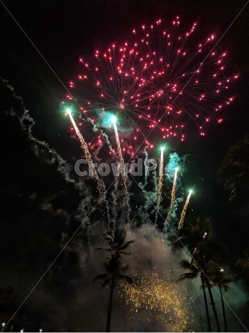 fireworks,palmtree,야자수,nightview,감성,야경,폭죽놀이,불꽃,축제,행사,밤하늘,show,hawaii,hilltonhawaiianvillage,waikiki,와이키키,하와이,자연,nature,해외