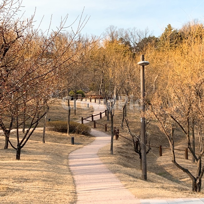 산책,공원,나무,쓸쓸함,길,자연,풍경,nature,landscape,path,통로
