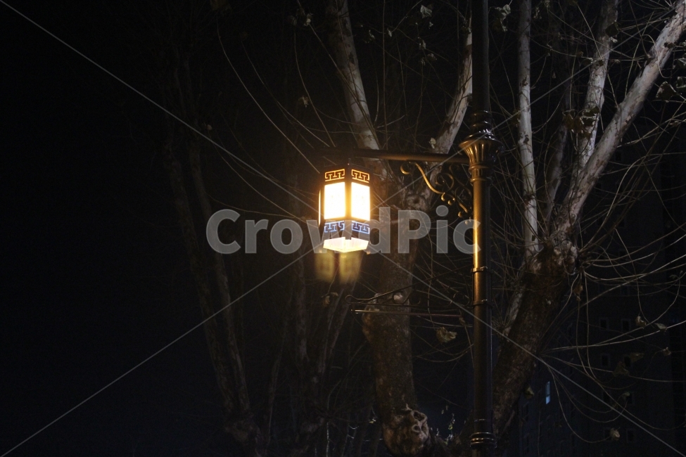 가로등,종로,종로의멋,빛,야경,야경,밤,풍경,nightscape,night,landscape