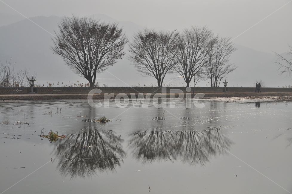 반영,양수리,두물머리,나무,강물,자연,풍경,nature,landscape