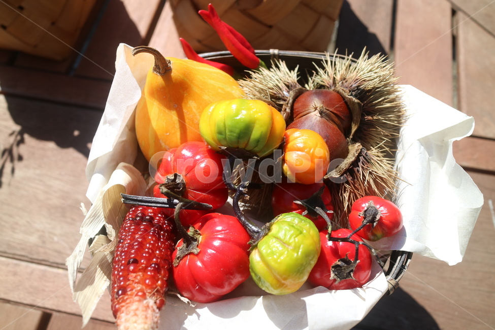 가을,열매,곡식,밤,토마토,호박,autumn,fruit,plant,식물